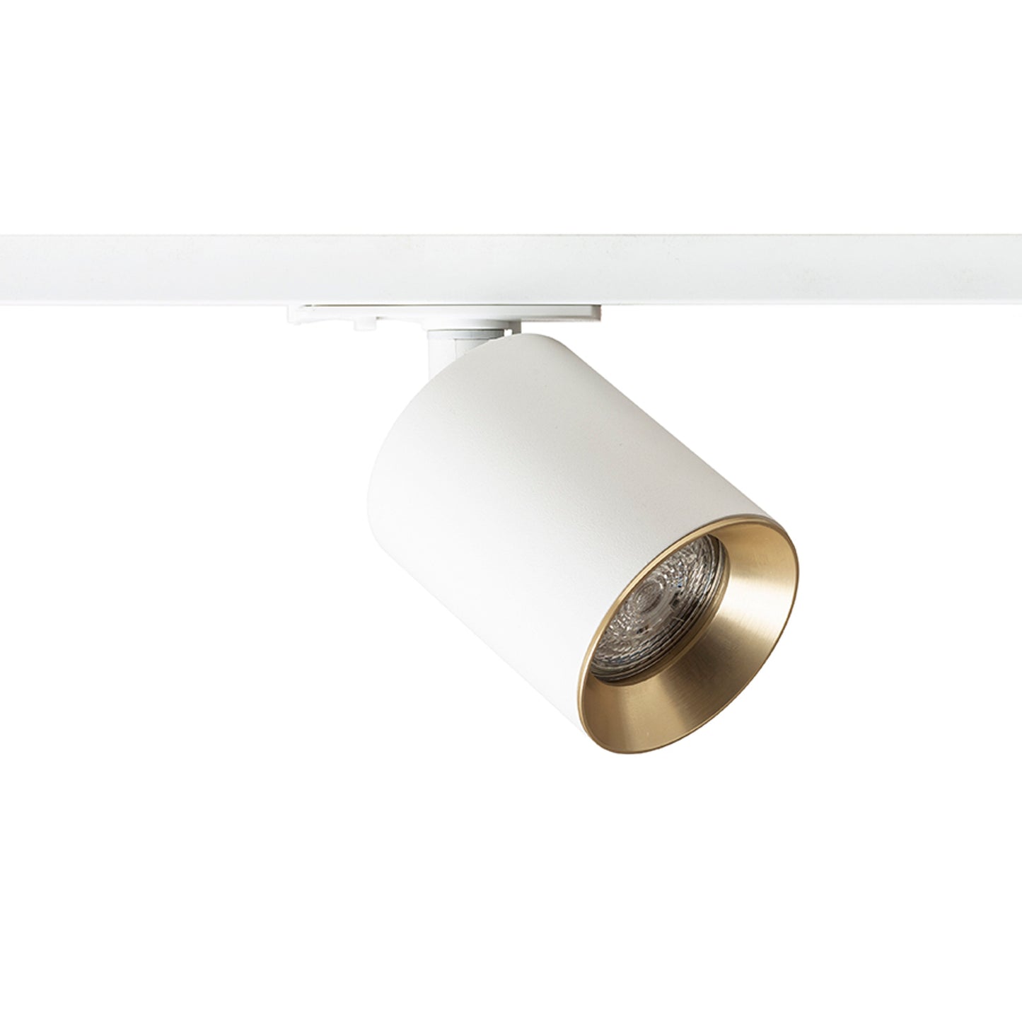 RENDL 1-circuit track system DARIO for 1-circuit tracks white brushed brass 230V LED GU10 9W R13870 4