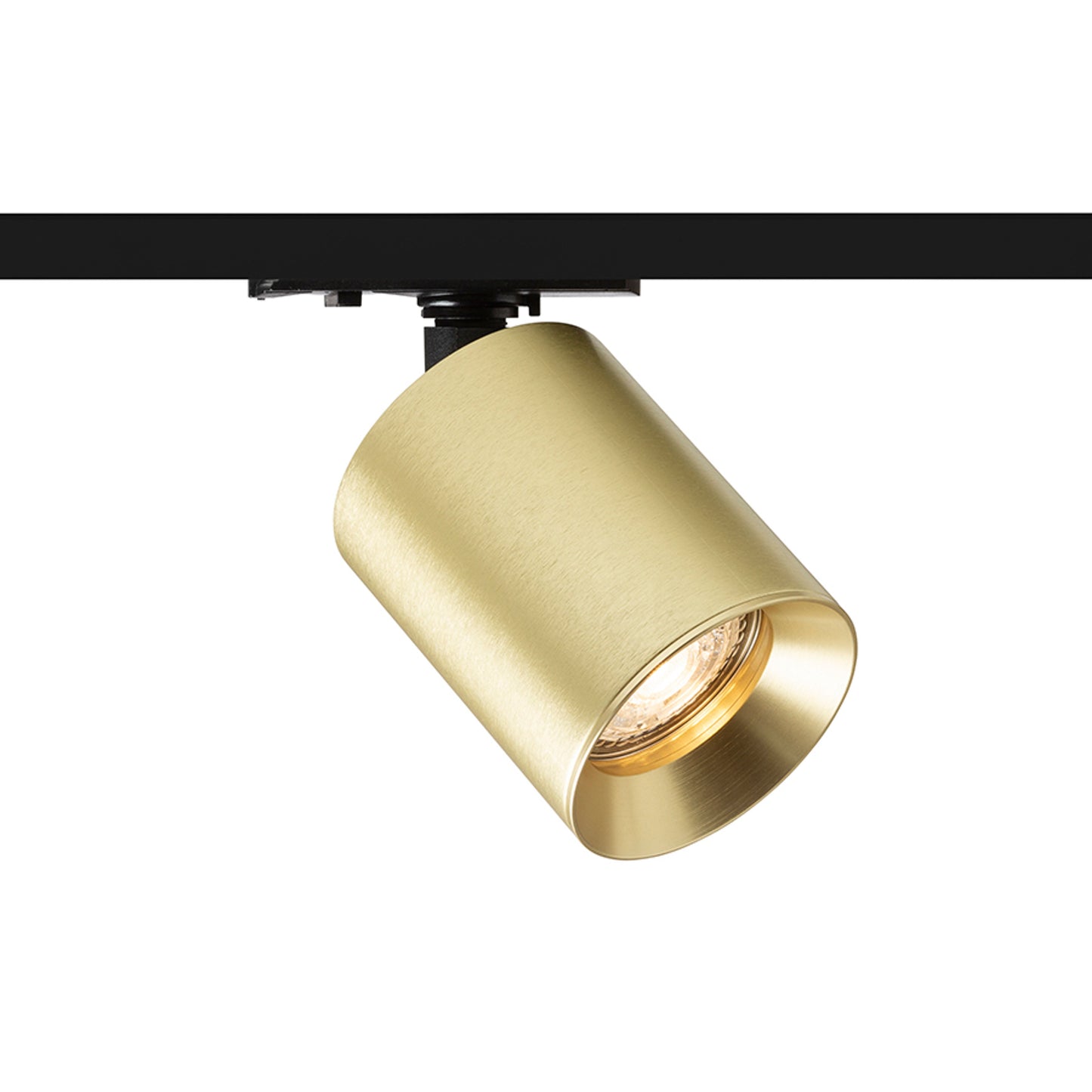 RENDL 1-circuit track system DARIO for 1-circuit tracks brushed brass 230V LED GU10 9W R13872 1