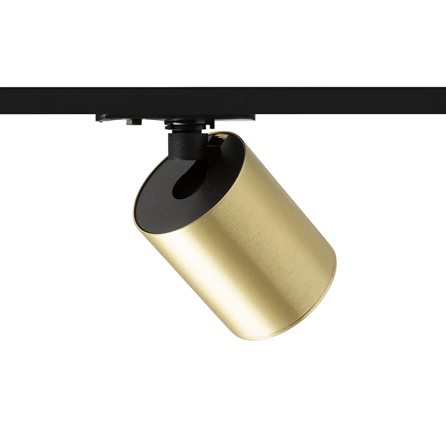 RENDL 1-circuit track system DARIO for 1-circuit tracks brushed brass 230V LED GU10 9W R13872 2