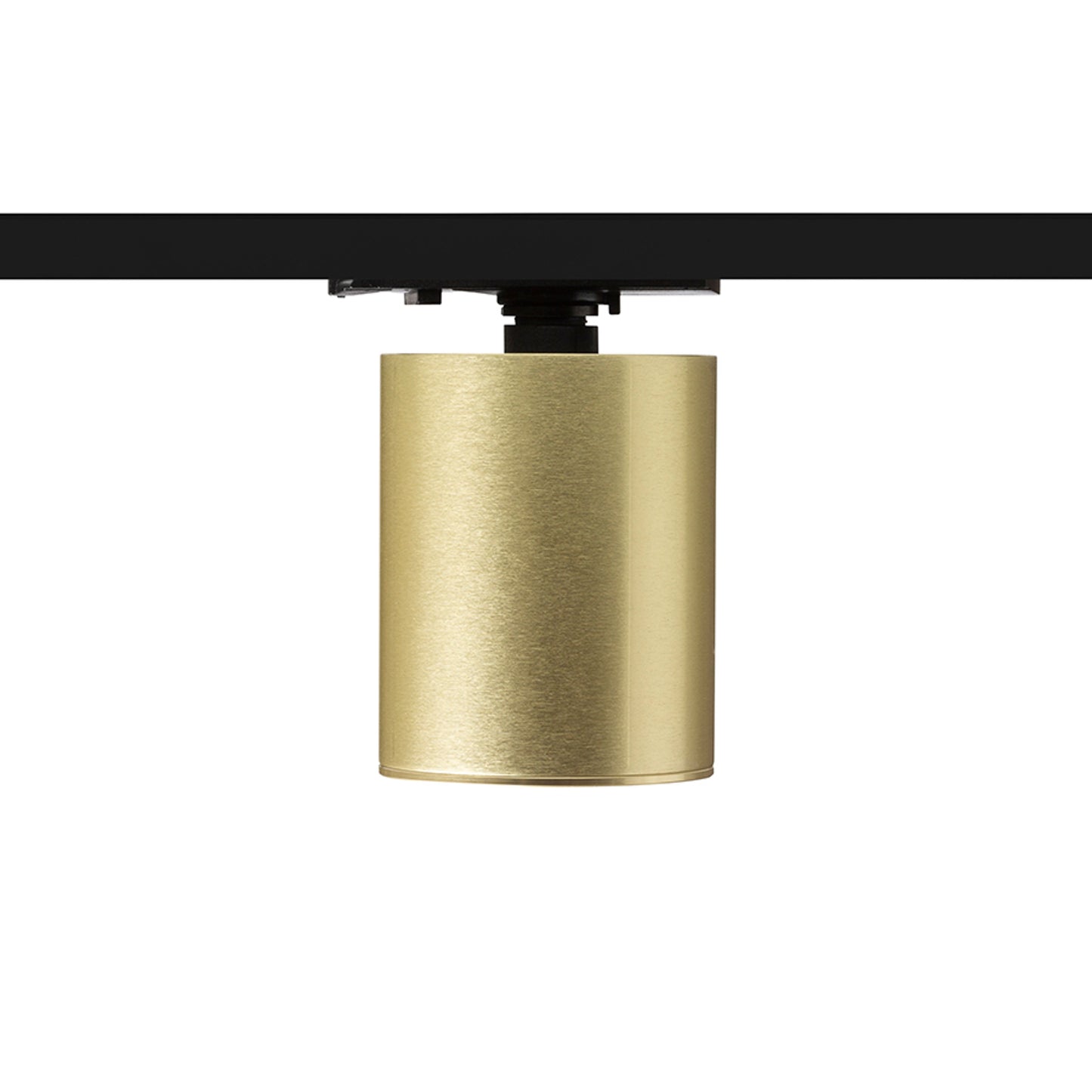 RENDL 1-circuit track system DARIO for 1-circuit tracks brushed brass 230V LED GU10 9W R13872 3