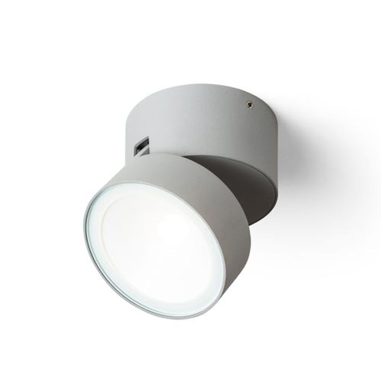 Adjustable outdoor ceiling lights